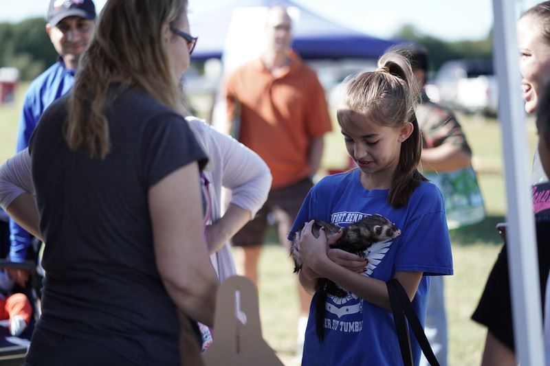 Girl Holding a Ferret