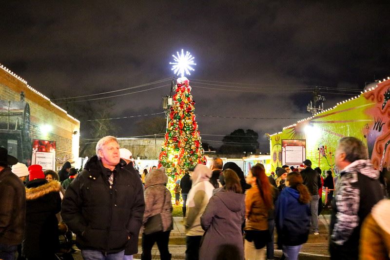 Lighted Outdoor Christmas Tree